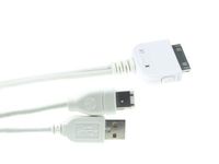 Velleman PCMP12 Y-Cable Dock to USB 2.0 + Firewire Connector for iPod, 1 Grade to 12 Grade