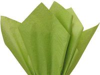 Buy All Store *16 Colors!!* Tissue Paper for Gift Wrapping 15"x20" Solid Sheets Your Choice! (10 Ct) (Moss Green)