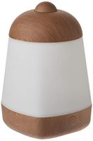 SpaRoom SpaMist Wood Grain Ultrasonic Aromatherapy Diffuser and Ultrasonic Cool Misting Humidifier for Essential Oils
