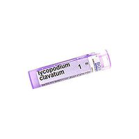 Boiron Lycopodium Clavatum 1m, Purple, 80 Count