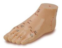 Foot Model/Height 5"x 2.6"