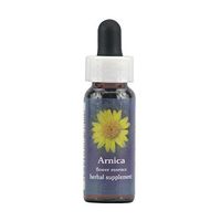 Flower Essence FES Quintessentials Arnica Supplement Dropper - 0.25 fl oz