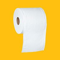 AmazonCommercial Scott High Capacity Hard Roll Tissue Center Pull Towels, 600 Towels per Roll, 2 Rolls