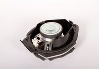 ACDelco 15086827 GM Original Equipment Rear Side Door Radio Speaker