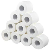 Toilet Paper, 4-Ply Natural Toilet Tissue Paper,Bulk Paper Towels,Various Options, for Home, Cafe, Shop, Restaurant etc (White, 10)