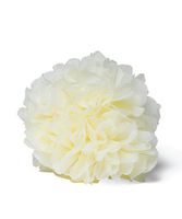 "Celebration Peonies" Tissue Paper Flowers Large Ivory