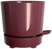 6" Self Watering + Aerating Ventilation + Rapid Drain + Deep Reservoir Round Planter Pot Prevents Mold, Root Rot & Soil Fungus in Herbs, Succulents, for Indoor & Outdoor & Windowsill Gardens (Plum)