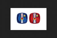 Solo Plate 9" Mixed Red & Blue 20 Plates / Package