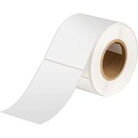 Brady THT-20-435-1 Label, Glossy Metallized Permanent Polyester (B-435), 5.000" H x 3.000" W, Silver, 1000/Roll (Pack of 1000)