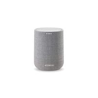 Harman Kardon Citation ONE (Grey) Wireless Speaker