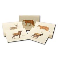 Earth Sky + Water - Western Mammal Assortment Notecard Set - 8 Blank Cards with Envelopes (2 each of 4 styles)