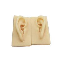 A Pair of Simulated Silicone Human Ear Models, Real Size, Soft Texture, Used in Acupuncture, Jewelry Display, Practice Model Ear Mold Ear Display