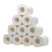 EISHOW Natural Wood Pulp Hollow Toilet Paper Rolls 10 Pack Soft Towel Tissue Home Kitchen Bath Strong and Highly Absorbent Hand Towels (White 10 Rolls)