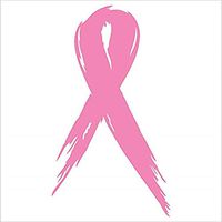 SoCool - Breast Cancer Awareness - Pink Ribbon - Vinyl 4" tall (color: PINK) decal laptop tablet skateboard car windows sticker