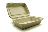 [50 Count] 9 X 6" Clamshell Disposable Eco Containers Togo Food Microwavable Hinged Container Boxes - Restaurant Carryout Lunch Meal Takeout Storage Food Service (9x6 inch, Single Compartment)