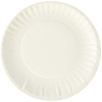 Dixie DBP06W Clay Coated Paper Plates, 6-Inch, White, 100/Pack