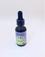 Echinacea Herbs of Light 1 oz Liquid