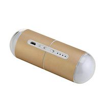 Lucky Time Capsule Hand Warmer USB Charger Explosion-Proof Lucky Macaron Hand Warmer-Champagne Gold_5000mah