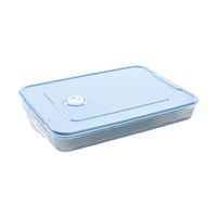 Ikevan Food Storage Container Single Layer Refrigerator Food Dumplings Airtight Storage Container Plastic Bo (Blue)