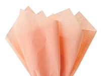 Peach Tissue Paper Squares, Bulk 10 Sheets, Premium Gift Wrap and Art Supplies for Birthdays, Holidays, or Presents by Feronia packaging, Large 15 Inch x 20 Inch Made in USA