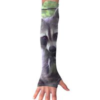 QG ZZX Sweet Raccoon Unisex Compression Arm Sleeves UV Protection Performance Arm Sleeve - for Outdoor Sports Baseball,Basketball,Football (1 Pair)