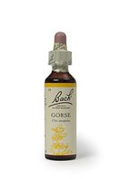 Bach Original Flower Remedies Gorse 20ml by Nelson