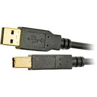 Tripp Lite USB 2.0 Cable-10FT USB 2.0 AB PRINTER/DEVICE -CABLE W/ GOLD CONNECTORS