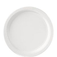Round Paper Plates | 20ct (10.5 inch, Frosty White)