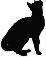 Ranger Products Cat Silhouette Kitten Car Decal Window Sticker (White Color Decal) - Die Cut Decal Bumper Sticker for Windows, Cars, Trucks, Laptops, Etc.