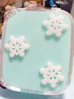 Portable DIY Cute Snow Snowflake Watermelon Contact Lens Case with Mirror Container for Color Lenses Gift for Girls - (Color: Green)