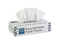 TISSUES, Large- CASE of 30/100 Tissue PER Box