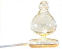 Raindrop Nebulizing Essential Oil Diffuser for Aromatherapy Glass Reservoir