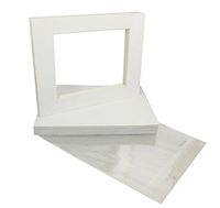 20 11x14 4-ply mat WHITE for 4x6 Photo with Back + Bag