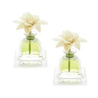 AGRARIA Petite Diffuser Duo, Lime & Orange