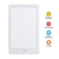 Microdermabrasion 10000Lux Intensity SAD Light Therapy Lamp Touching Control Stepless Dimming, 3 Light Colors Adjustable Sunlight Simulation Improve Your Mood Fauay