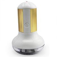 Rechargeable Lint Remover,Fabric Shaver with Ergonomics Handle, Removable Bin, Fuzz Remover Machine,for Clothes, Fabrics and Sheets,2019 Upgraded Version by,Gold