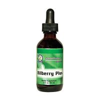 Standard Enzyme Herbal Supplements/Bilberry Plus 4oz Liquid