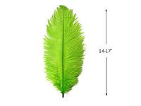 Moonlight Feather | 10 Pieces - 14-17" Lime Green Ostrich Dyed Drab Body Feathers Centerpiece Wedding Gatsby Costume Supplier