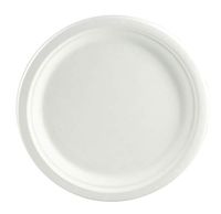 Compostable Dinner Plate, 9 Inch, Round, White, 240 Pack