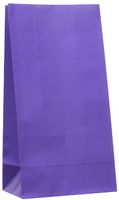 Purple Paper Gift Bag (12 ct)