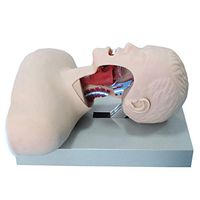 LXX Tracheal Intubation Training Model Manikin PVC Material Simulator Model Laboratory Airway Training Intubation Manikin Study Teaching Model Science Lab Education