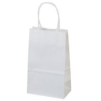 Flexicore Packaging | Size: 5.25"x3.25"x8" | Kraft Paper Bags, Shopping, Merchandise, Party, Gift Bags (White, 100 Bags)