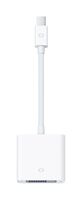 Apple Mini DisplayPort to DVI Adapter