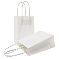 AZOWA Gift Bags Mini Kraft Paper Bags with Handles(White, 25 Pcs)