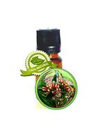 Clove Leaf Essential Oil - Syzygium aromaticum - 15ml (1/2oz)