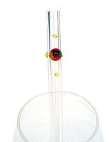 Circus Smoothie Straw