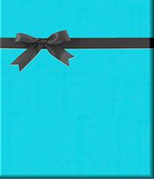 Solid Turquoise Blue Gift Wrap Wrapping Paper-15ft Roll w. Gift Tags
