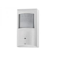 1080P 2 megapixel PIR Motion Detector Hidden Camera 4-in-1 AHD HDCVI HDTVI Analog