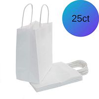 WonderEsque White Paper Gift Bags - 25ct (8"x4.75"x10")