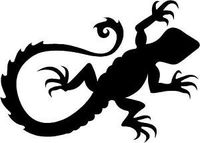 Tribal Gecko Lizard Vinyl Decal Sticker | Cars Trucks Vans Walls Laptops Cups | Black | 5.5 inches | KCD1491
